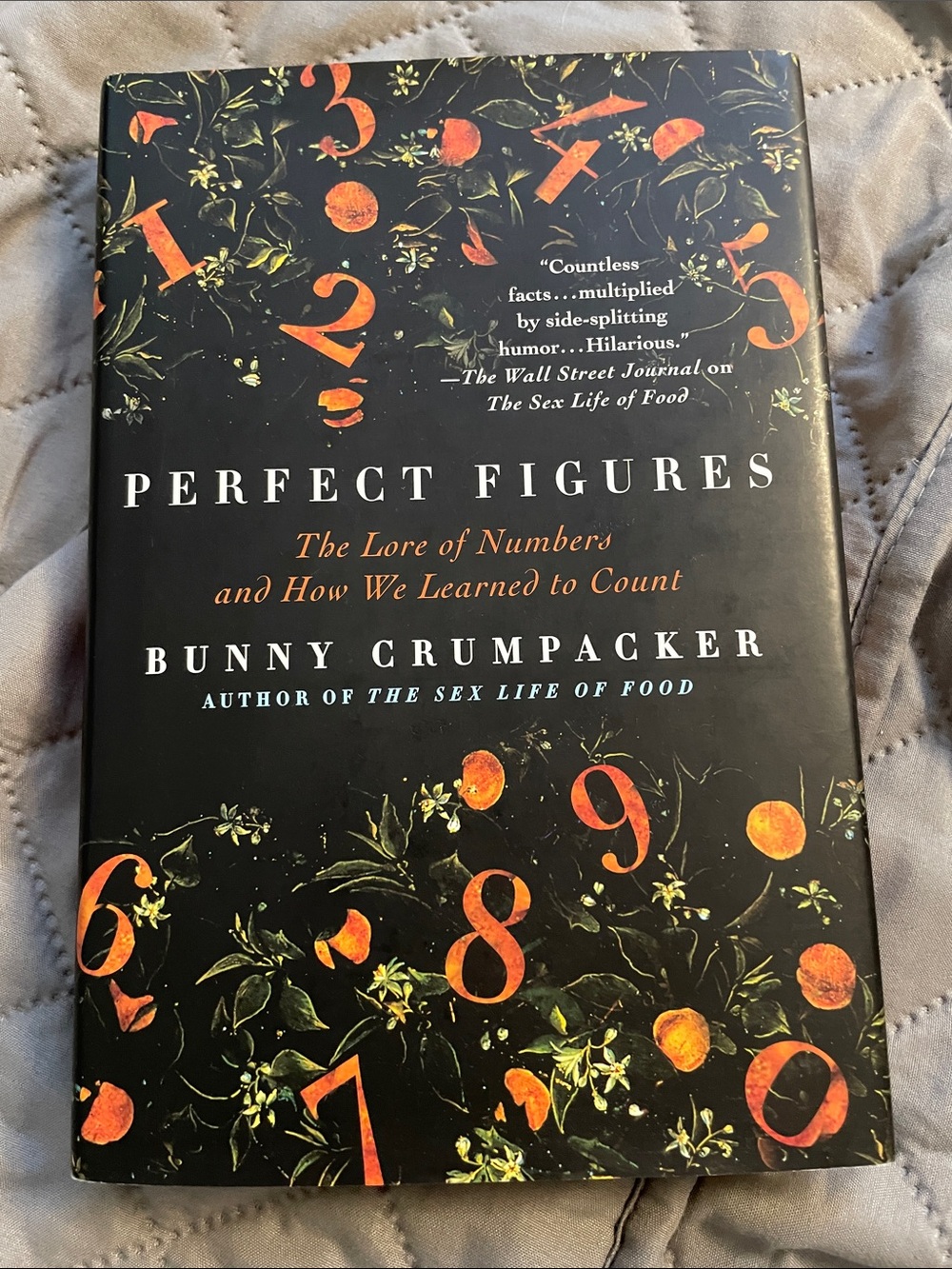 Perfect Figures by Bunny Crumpacker Book Non fiction